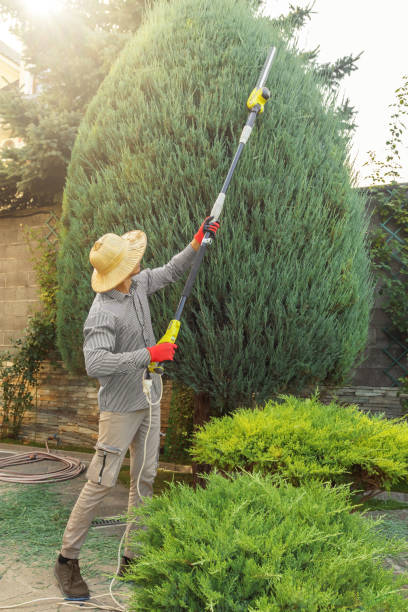 Best Lawn Mowing  in Brock Hall, MD